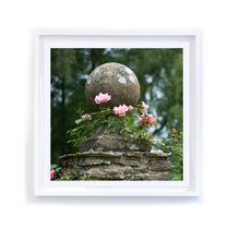 Load image into Gallery viewer, Climbing New Dawn Roses, Framed