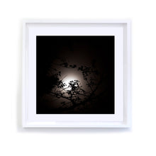 Load image into Gallery viewer, Branches and Moon, Framed