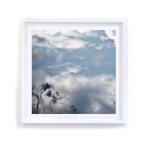 Load image into Gallery viewer, Branches in Clouds and Fog, Framed