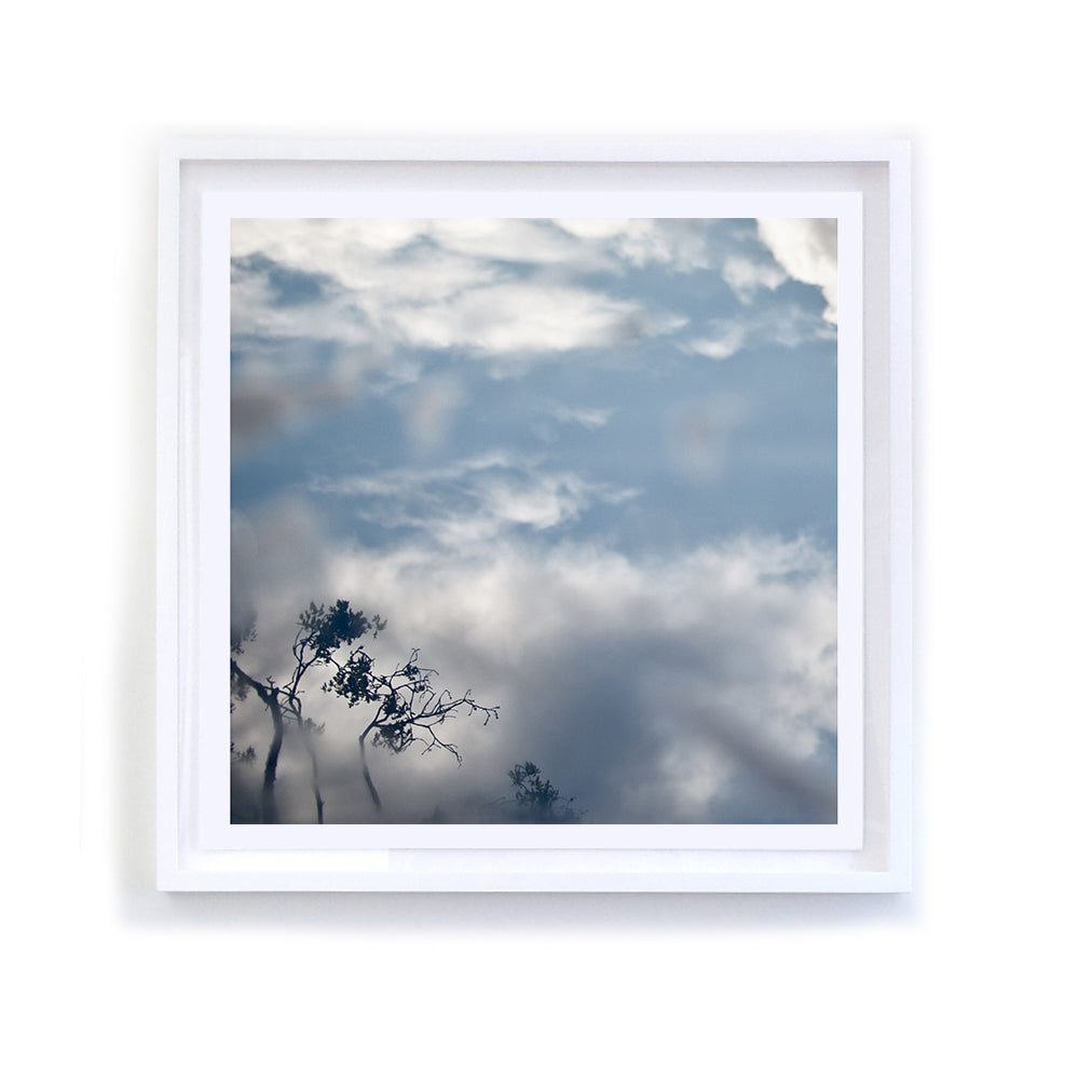 Branches in Clouds and Fog, Framed