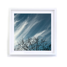 Load image into Gallery viewer, Branches with Cloud Wisps, Framed