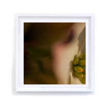 Load image into Gallery viewer, Dogwood 1, Framed
