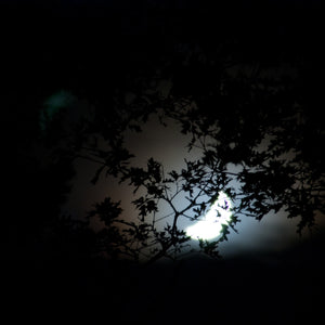 Waning Moon, Framed