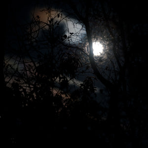 Branches and Moon, Framed
