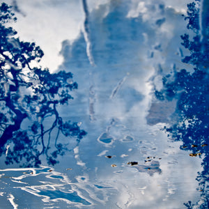 Blue Reflection, Framed