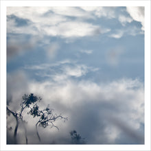 Load image into Gallery viewer, Branches in Clouds and Fog, Framed
