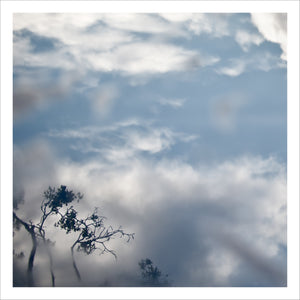 Branches in Clouds and Fog, Framed