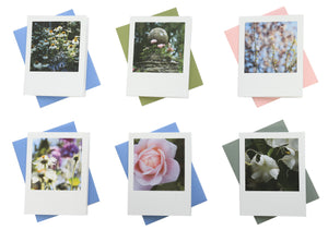Floral Greeting Cards (Set of 6)