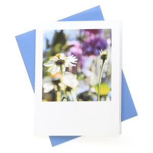 Pow Wow White Echinacea Greeting Card