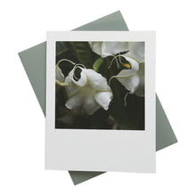 Load image into Gallery viewer, White Angel&#39;s Trumpet Greeting Card
