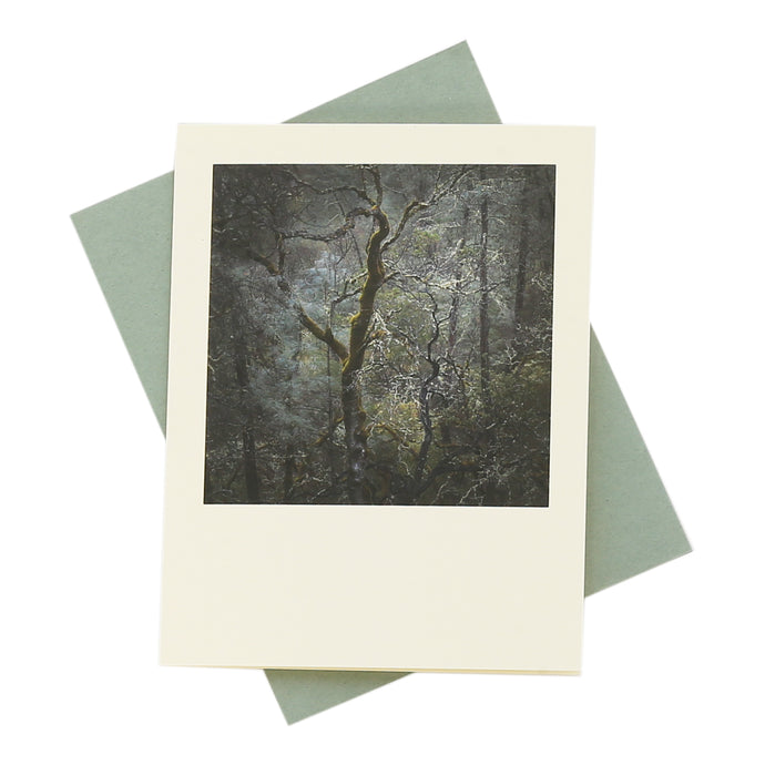 Calistoga Oak Series Greeting Card
