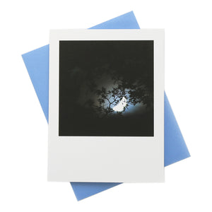 Nocturnal Greeting Card