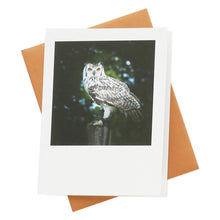 Load image into Gallery viewer, Owl Greeting Card