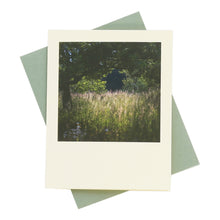 Load image into Gallery viewer, West Sussex Evening Light Greeting Card