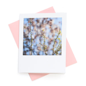 Vertical Spring Branches Greeting Card