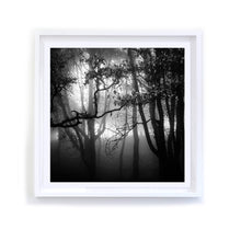 Load image into Gallery viewer, Napa Forest Fog, Framed