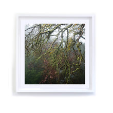 Load image into Gallery viewer, Napa Pink and Green Branches, Framed