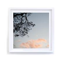 Load image into Gallery viewer, Oak Silhouette with Pink Clouds, Framed