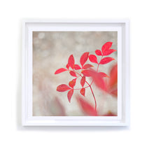 Load image into Gallery viewer, Red Leaves 2, Framed