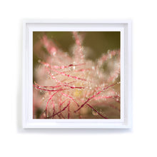 Load image into Gallery viewer, Red Swirls 1, Framed