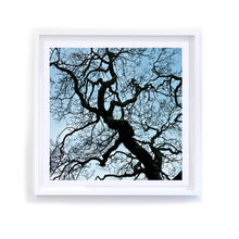 Load image into Gallery viewer, Ridgewood Oak Silhouette, Framed
