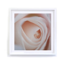 Load image into Gallery viewer, Rose with Bug, Framed