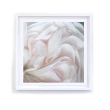 Load image into Gallery viewer, Ruffled Rose, Framed