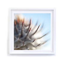 Load image into Gallery viewer, Spiky, Framed