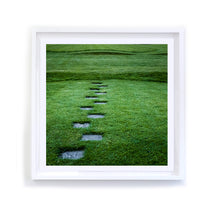 Load image into Gallery viewer, Stones in the Grass, Framed