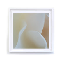 Load image into Gallery viewer, &quot;The Body&quot; Rose, Framed