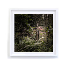 Load image into Gallery viewer, Wooded Gate, Framed