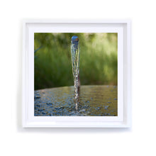 Load image into Gallery viewer, Fountain, Framed